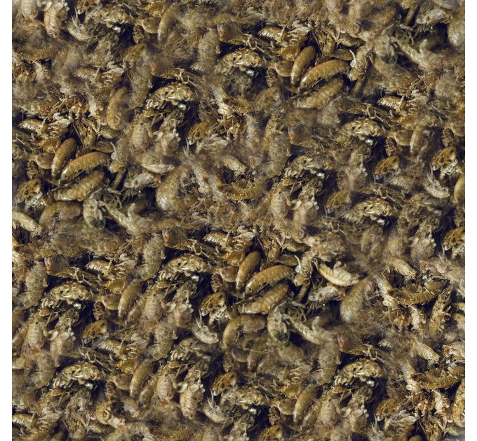 Прикорм для риби STICK METHOD MIX "КРІЛЬ ПОЛУНИЦЯ" 5 в 1 з Гамарусом та Мука Криля UKR FISH 450 г